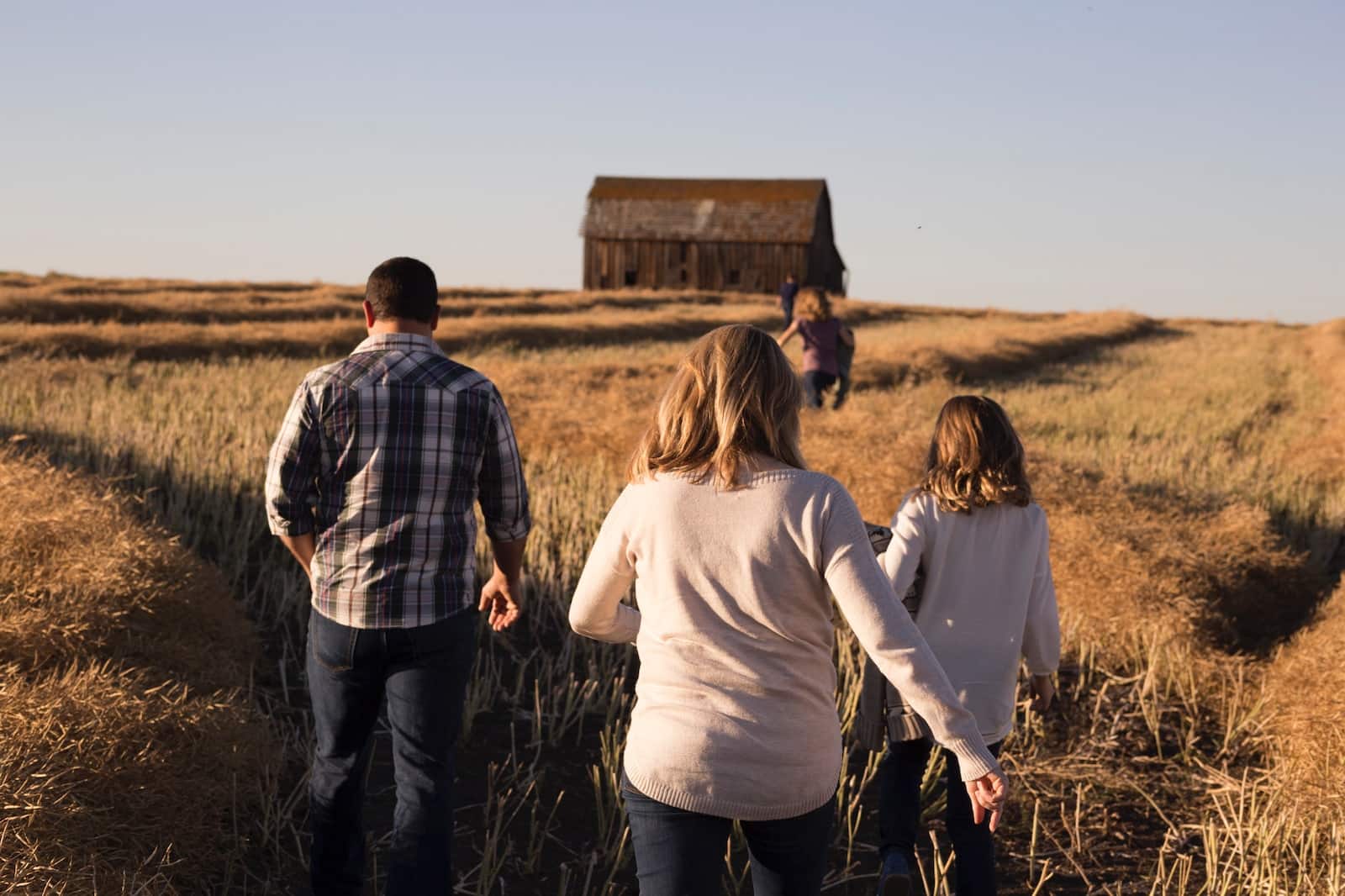Unlocking the power of shared custody: creating harmonious co-parenting arrangements 22 Man and women walks on grasses during daytime-shared parenting